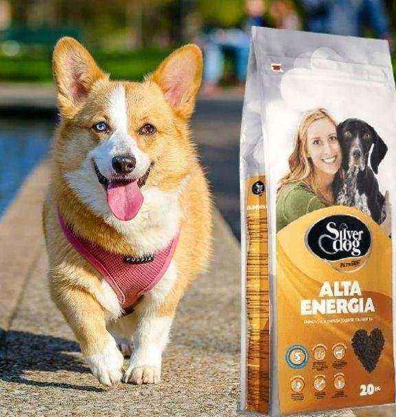 Отзывы на компанию Зоомир в г. Сатка c фото