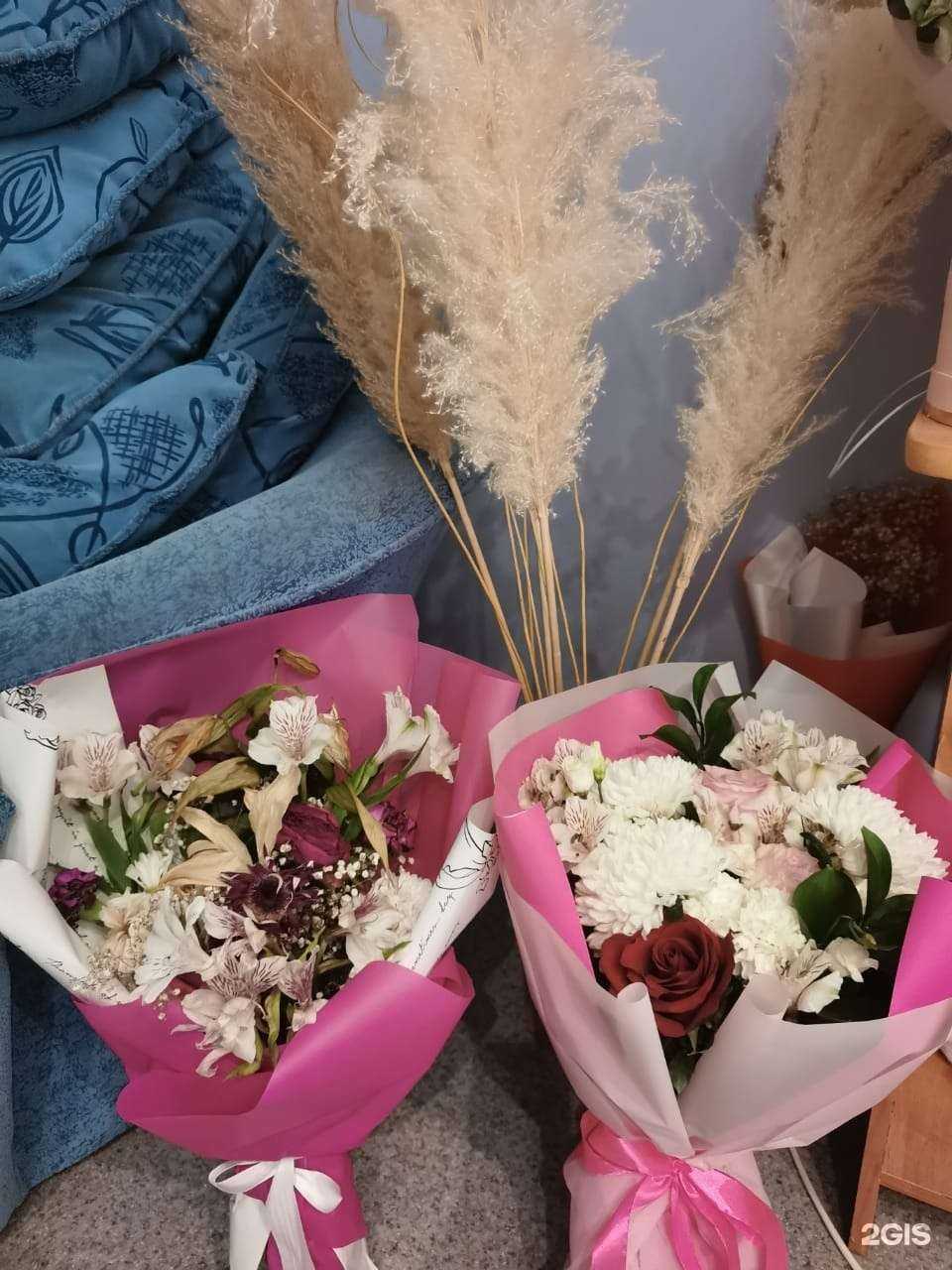 Отзывы на компанию Amsterdam the Holland в Иркутске c фото