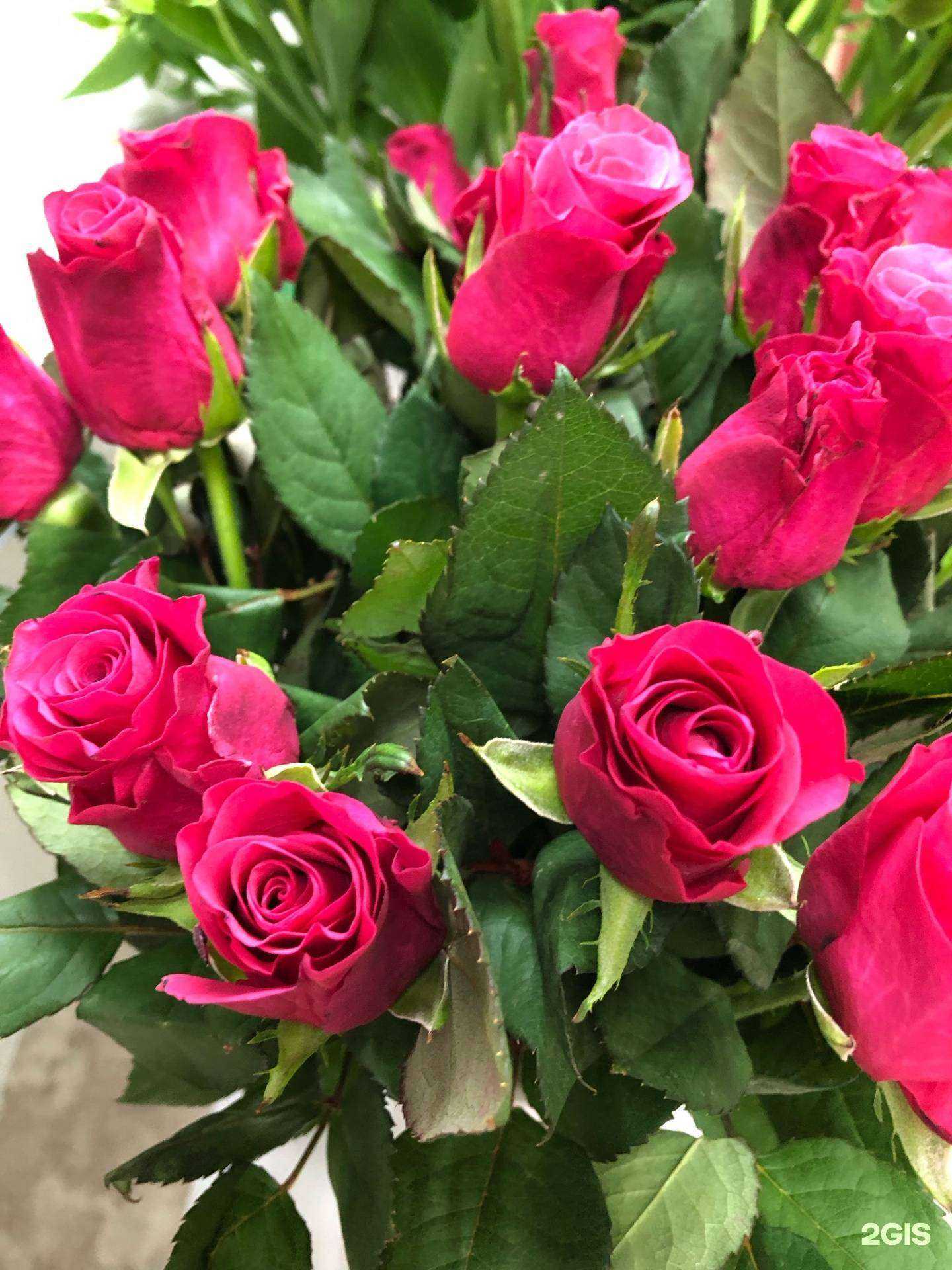 Отзывы на компанию Цветочный домик в Нижнем Новгороде c фото