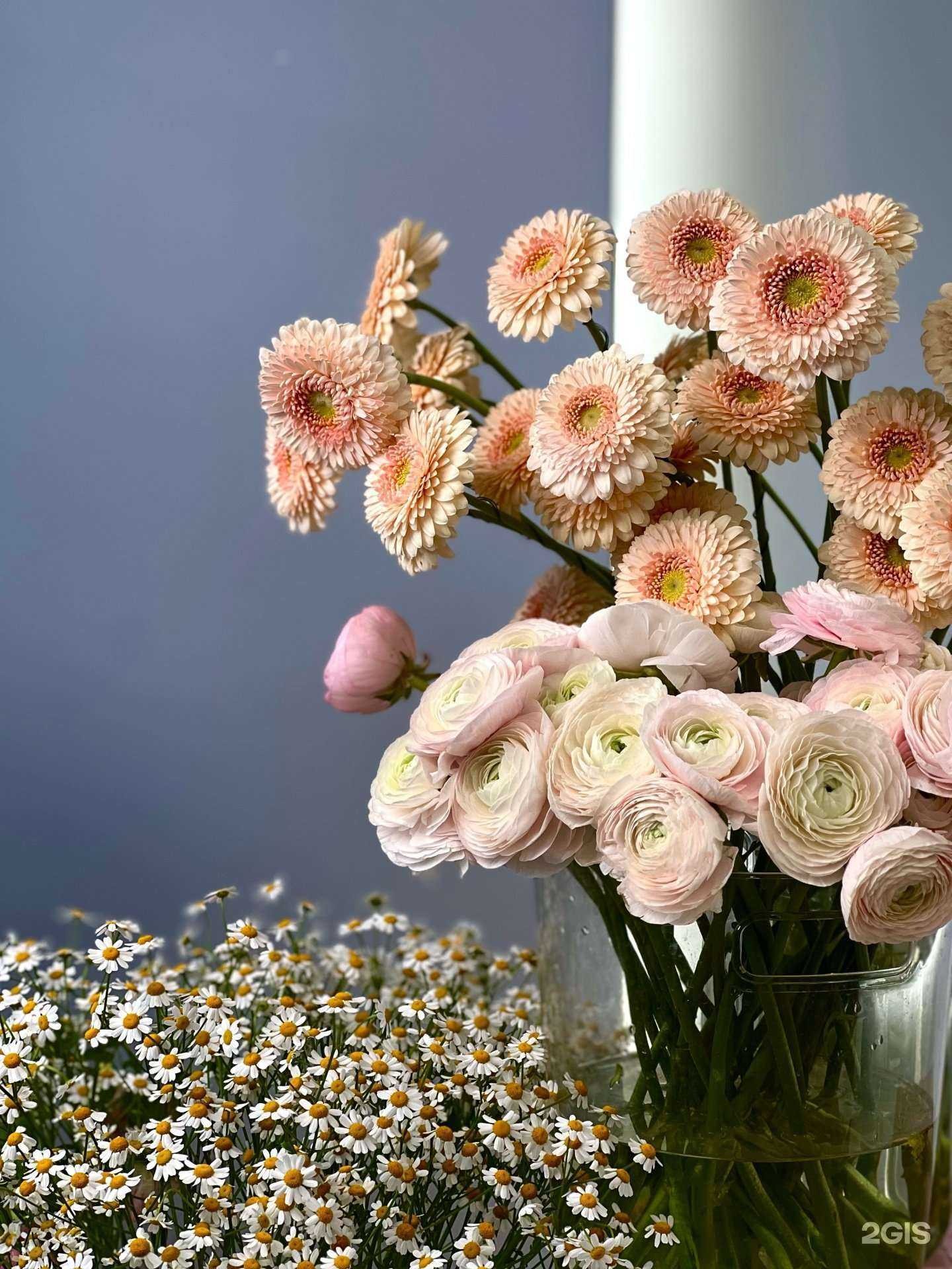 Отзывы на компанию Vera fox в Уфе c фото