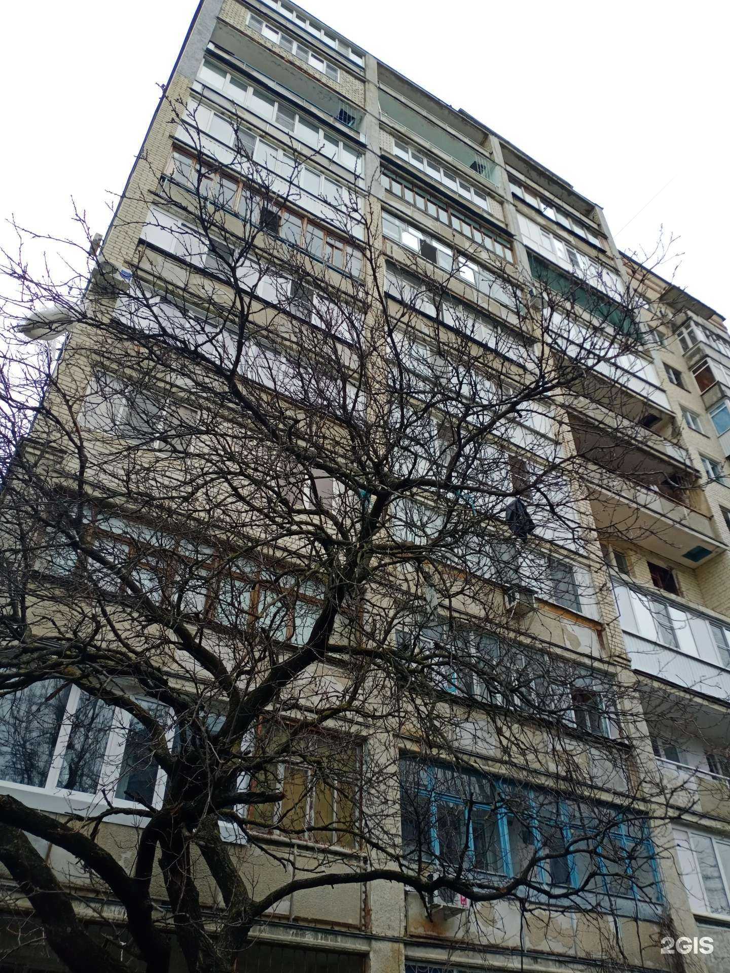 Отзывы на компанию Графическое предприятие №5 в Ставрополе c фото - фотография 2 из 2