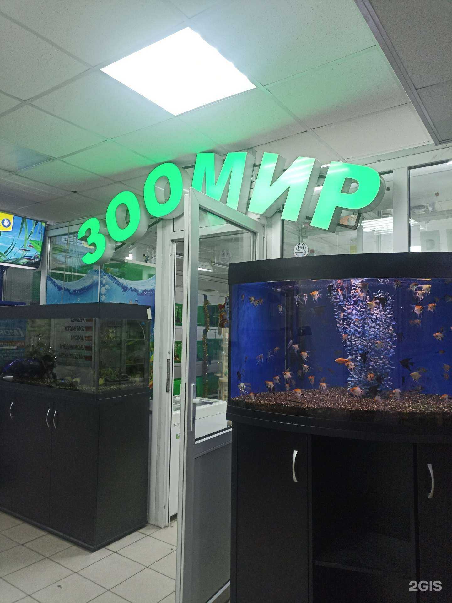 Отзывы на компанию Зоомир в г. Пятигорск c фото