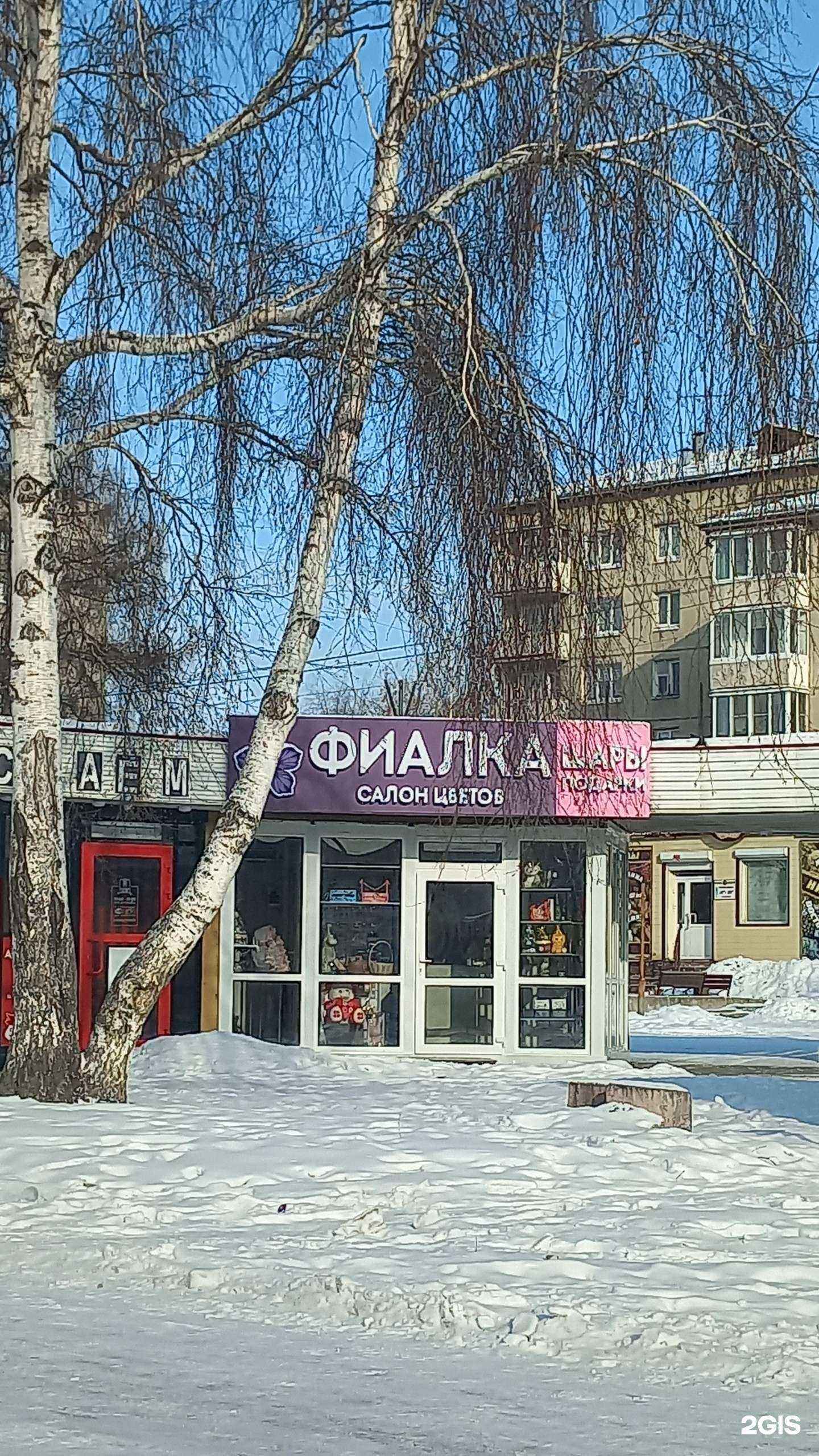 Отзывы на компанию Фиалка в г. Ангарск c фото