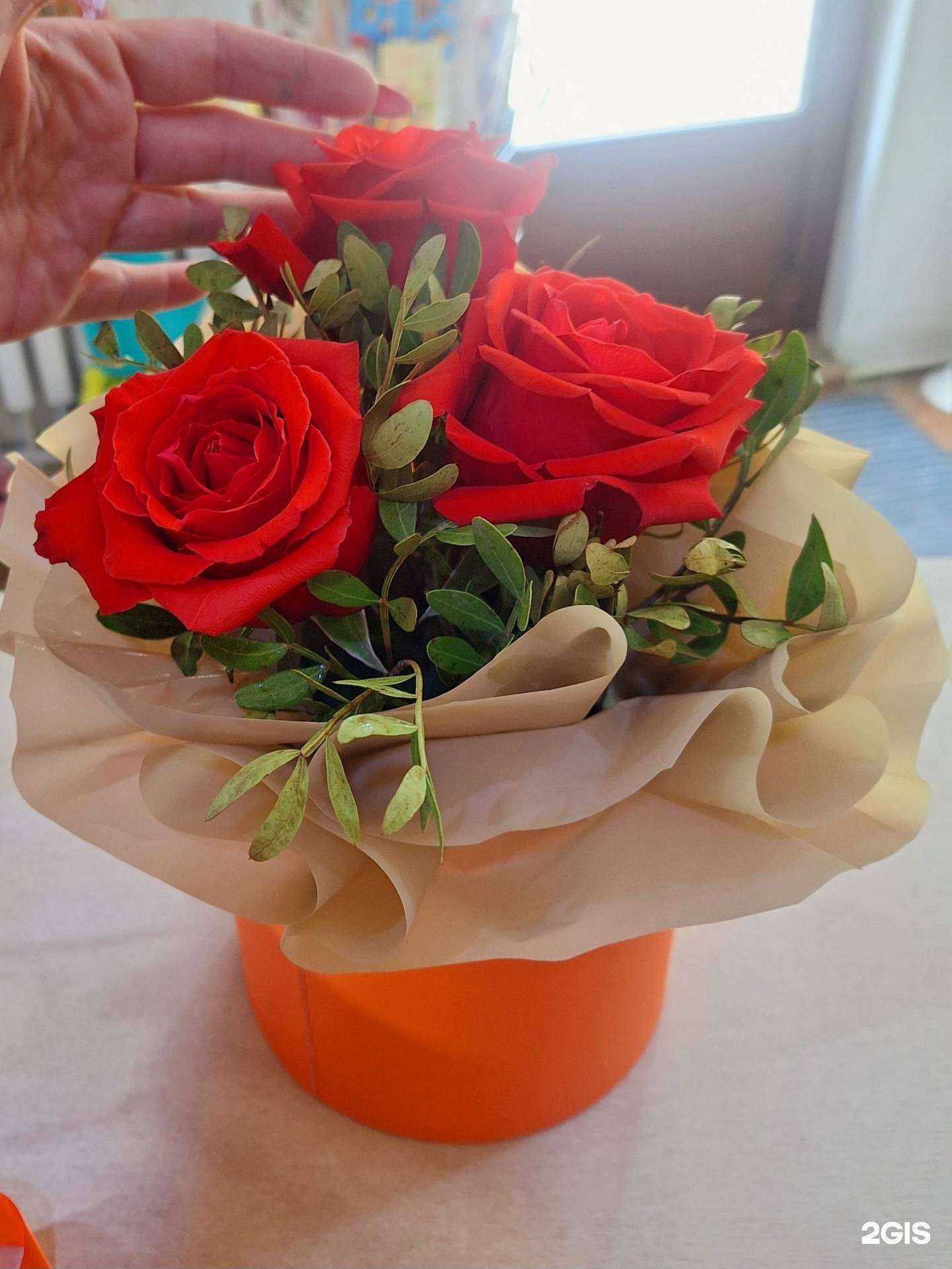 Отзывы на компанию Лилия в г. Чита c фото