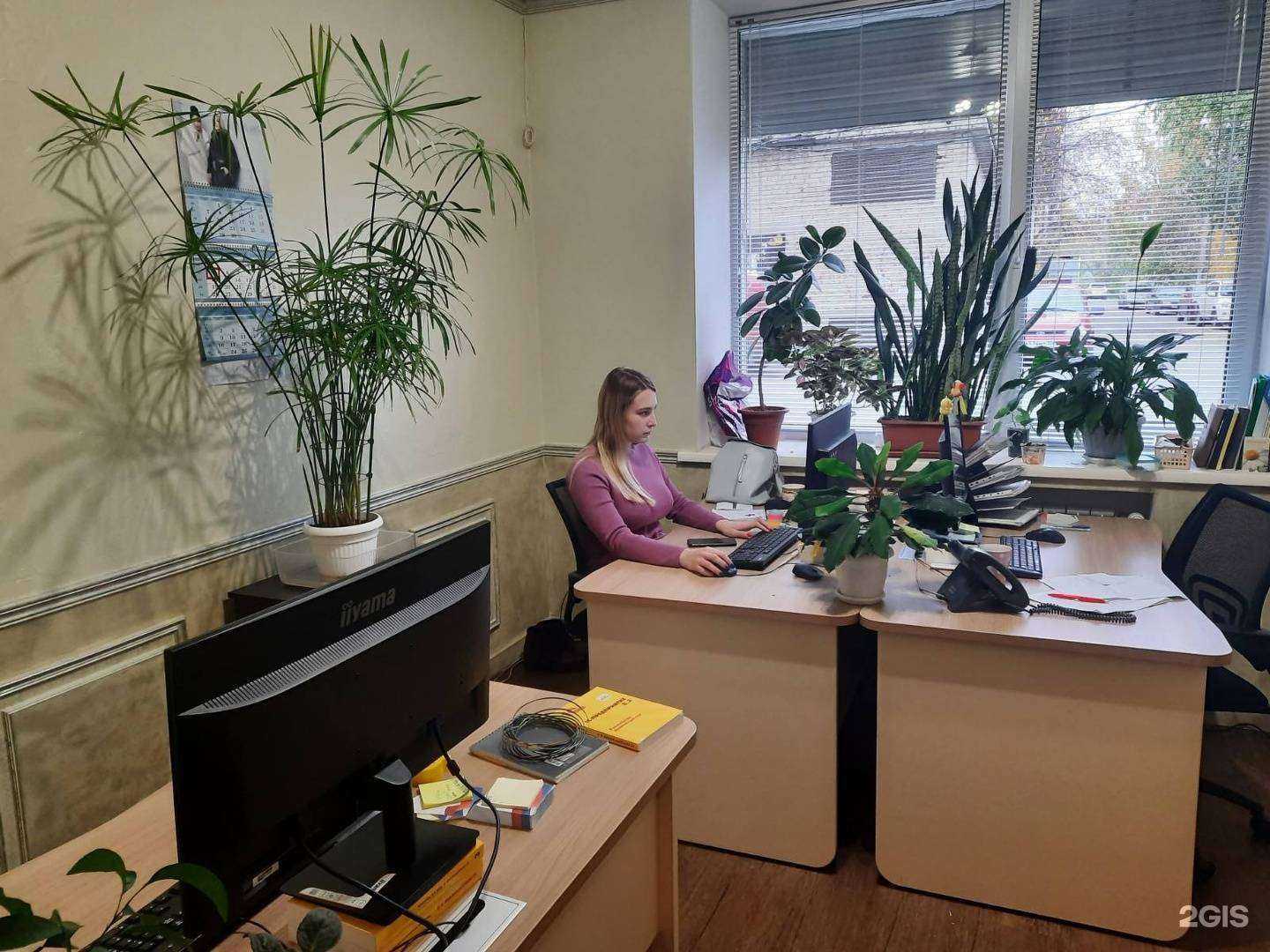 Отзывы на компанию 1C: Франчайзинг Адекс в г. Челябинск c фото