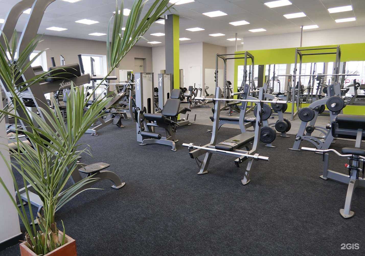 Отзывы на компанию Energy Fitness в Перми c фото