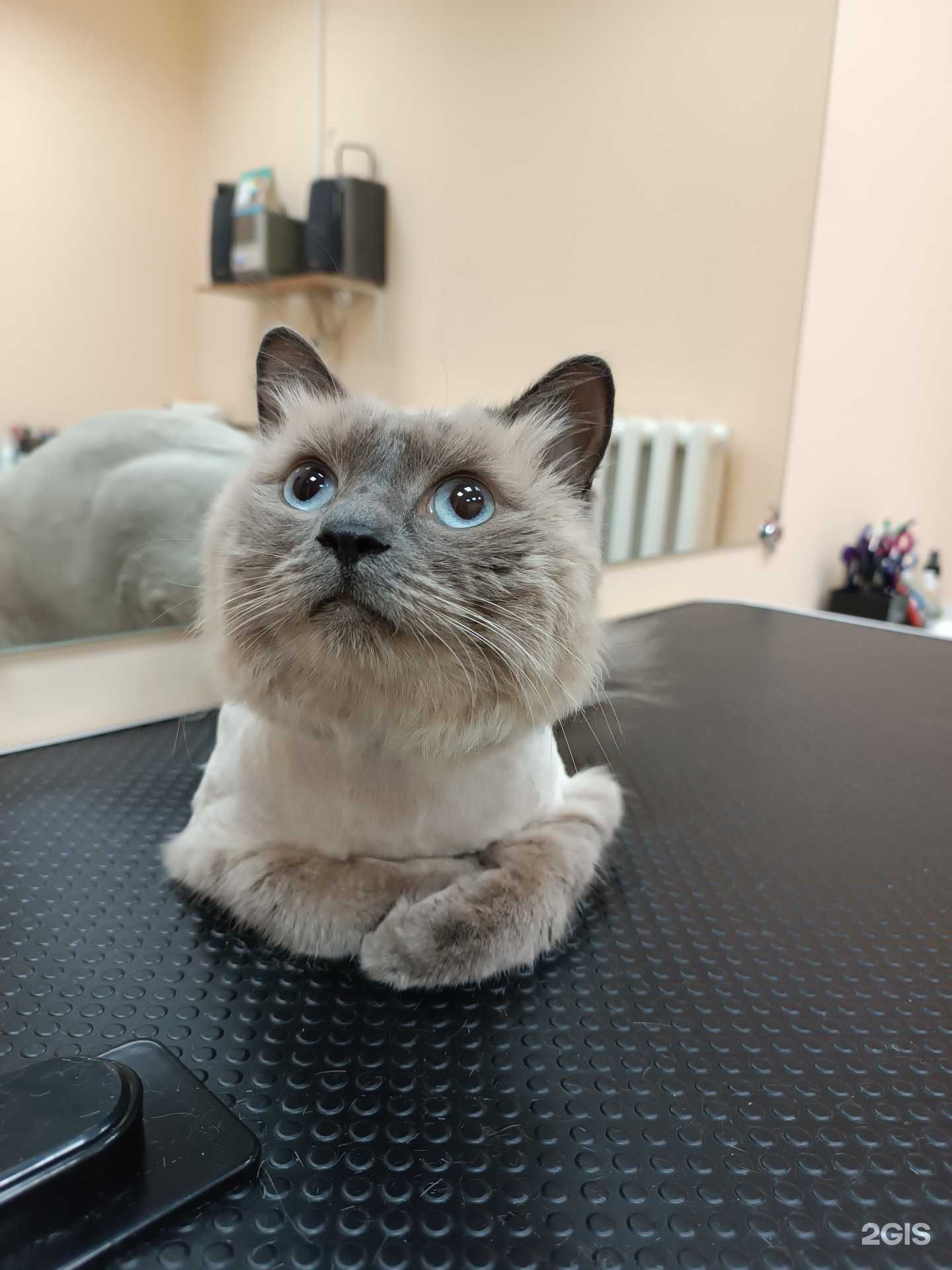 Отзывы на компанию Северное сияние в Хабаровске c фото