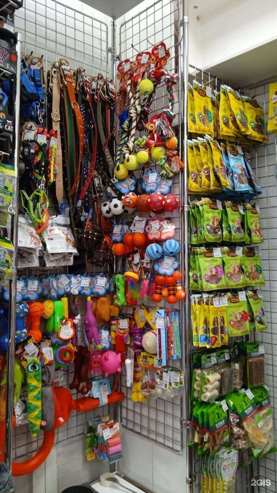 Отзывы на компанию Зоомаркет в Челябинске c фото