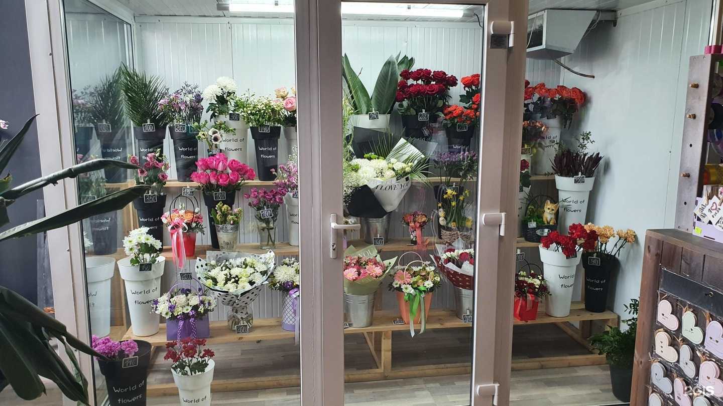 Отзывы на компанию Цветnастроения в г. Гатчина c фото