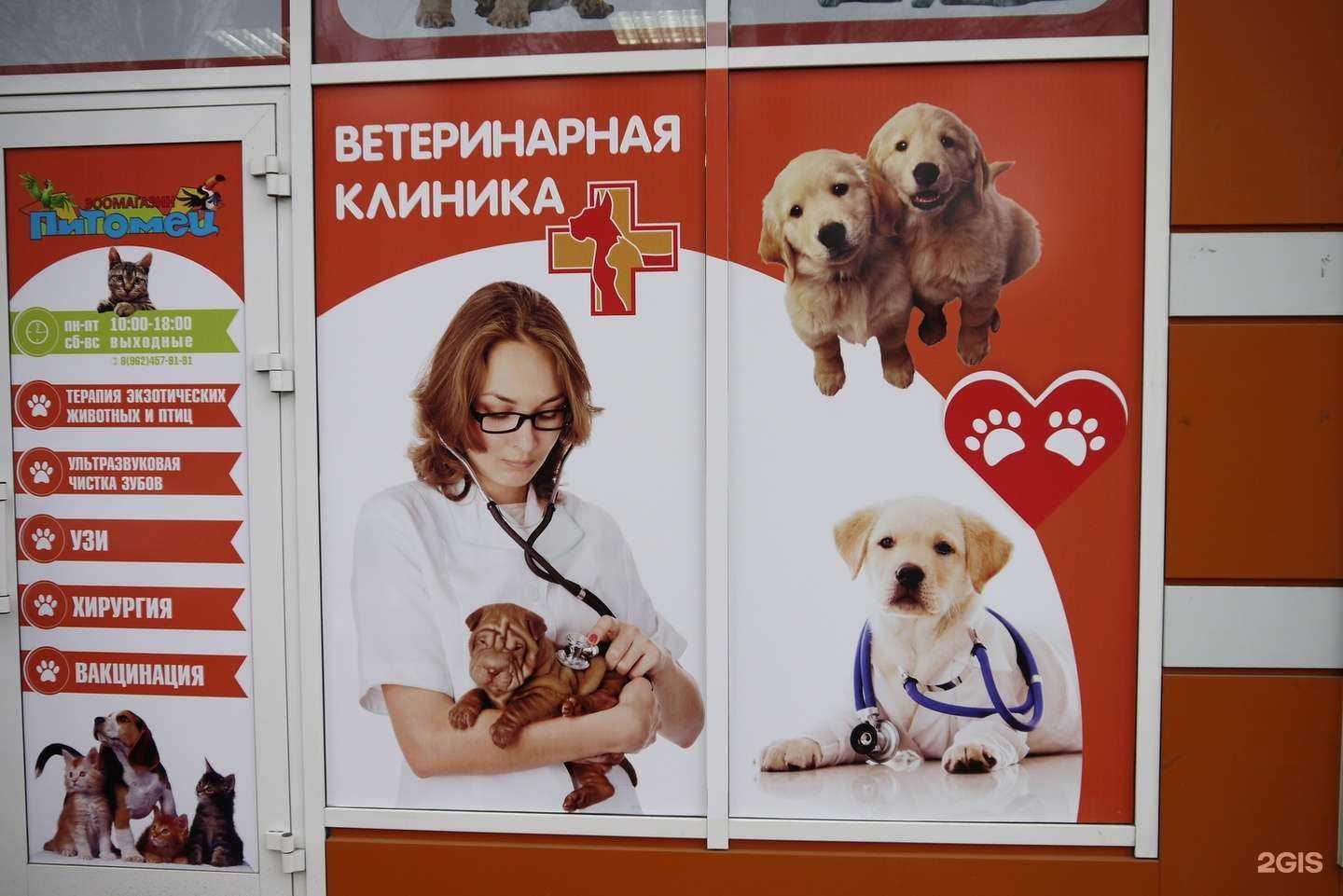 Отзывы на компанию Питомец в г. Ессентуки c фото