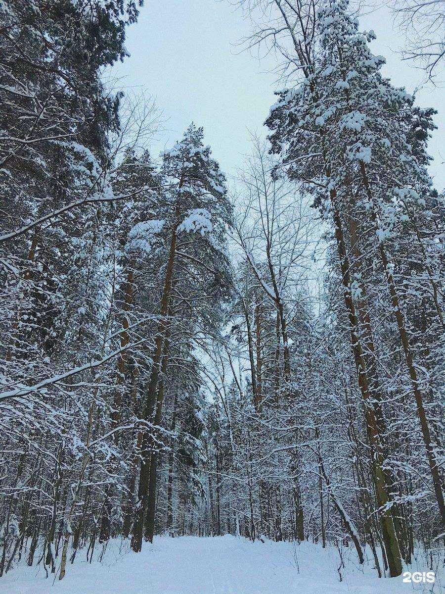 Отзывы на компанию Nepal в Перми c фото - фотография 2 из 2