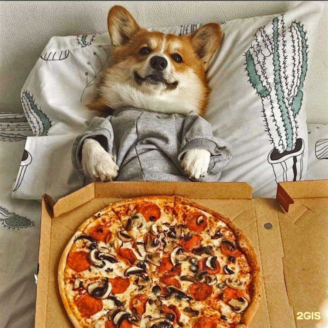 Отзывы на компанию Кунжут в г. Орск c фото