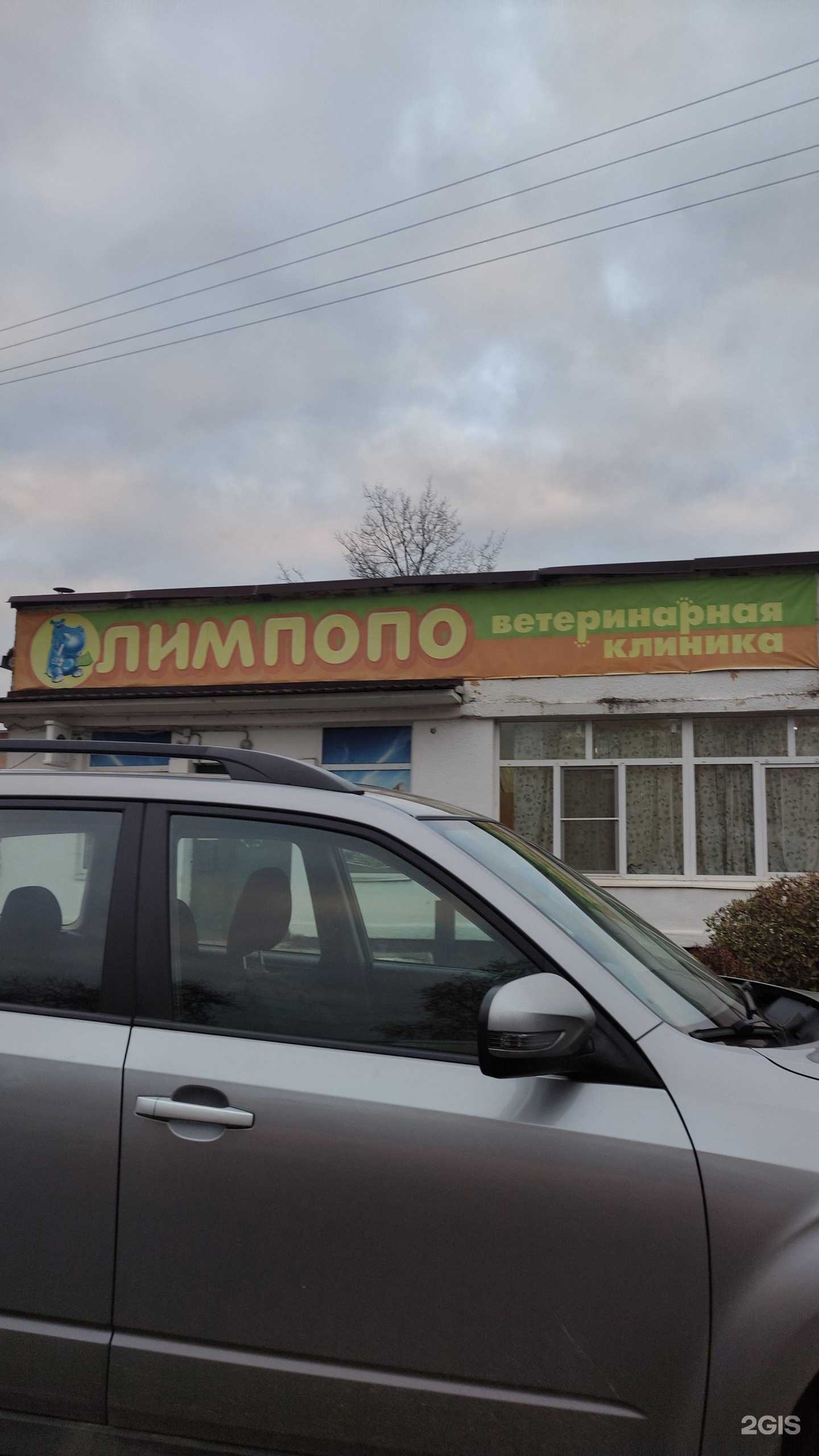 Отзывы на компанию Лимпопо в г. Ступино c фото