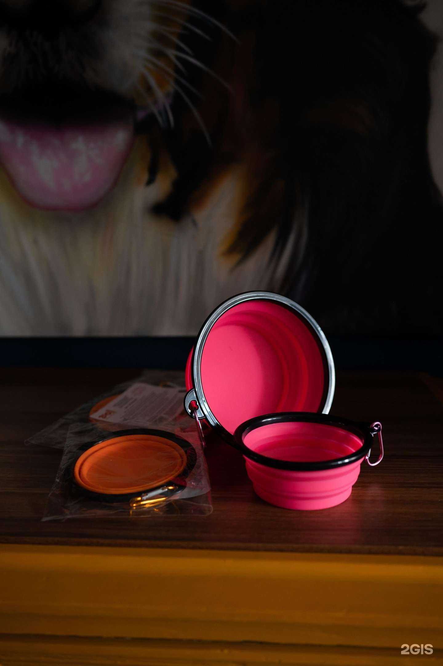 Отзывы на компанию Хвостатые усы & Усатые хвосты в Первоуральске c фото