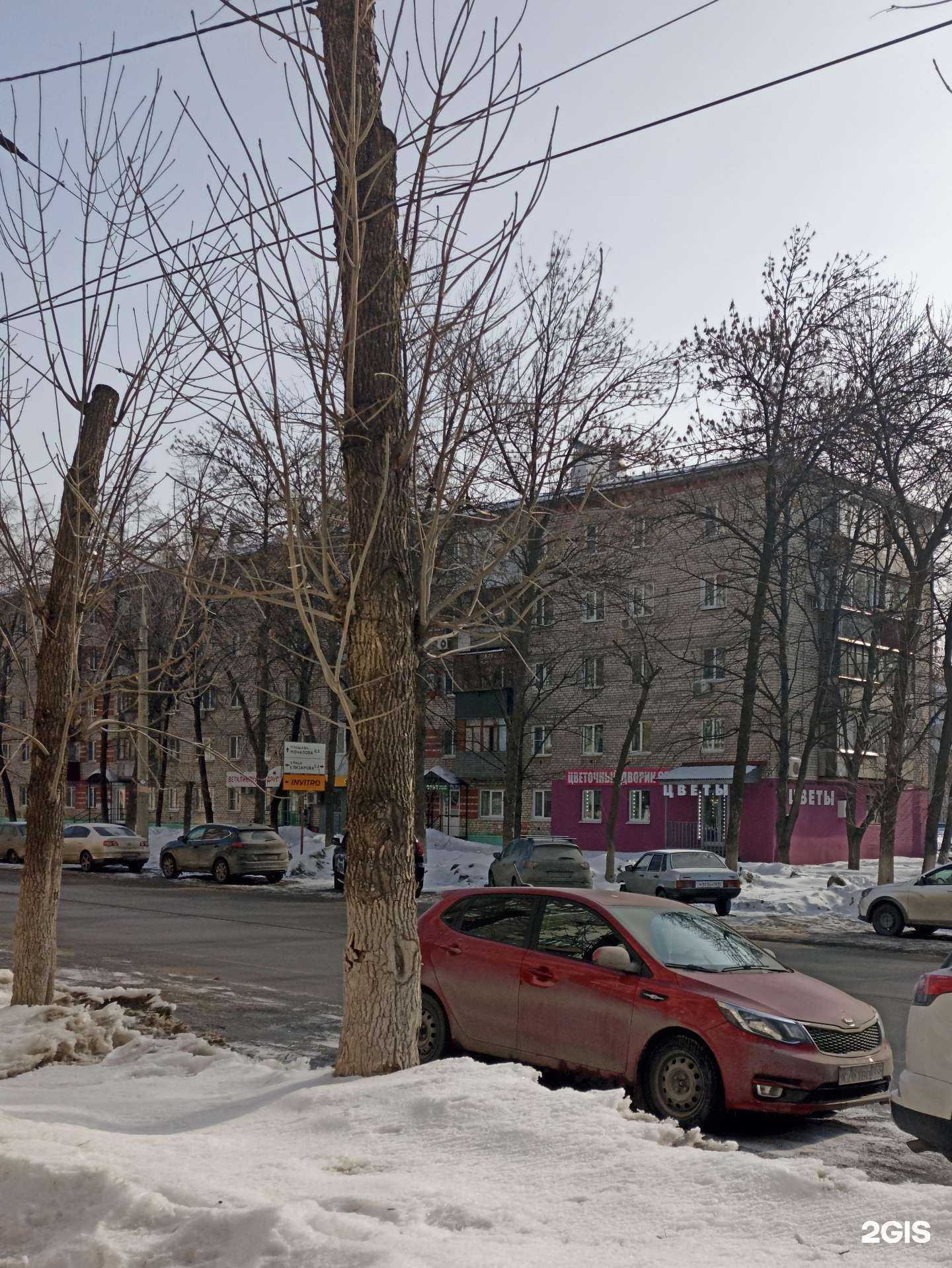 Отзывы на компанию Цветочный дворик 63 в Самаре c фото - фотография 2 из 2