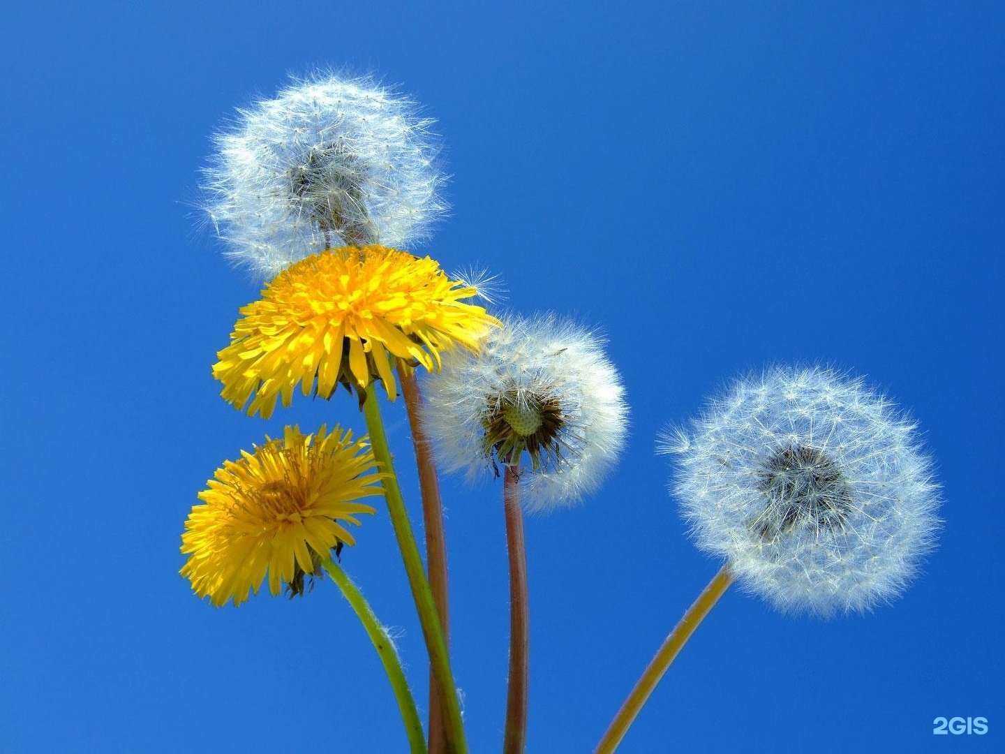 Отзывы на компанию Медхэлп в Нововоронеже c фото