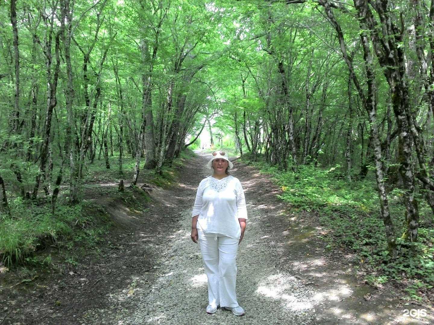 Отзывы на компанию Юридическая компания в Боре c фото