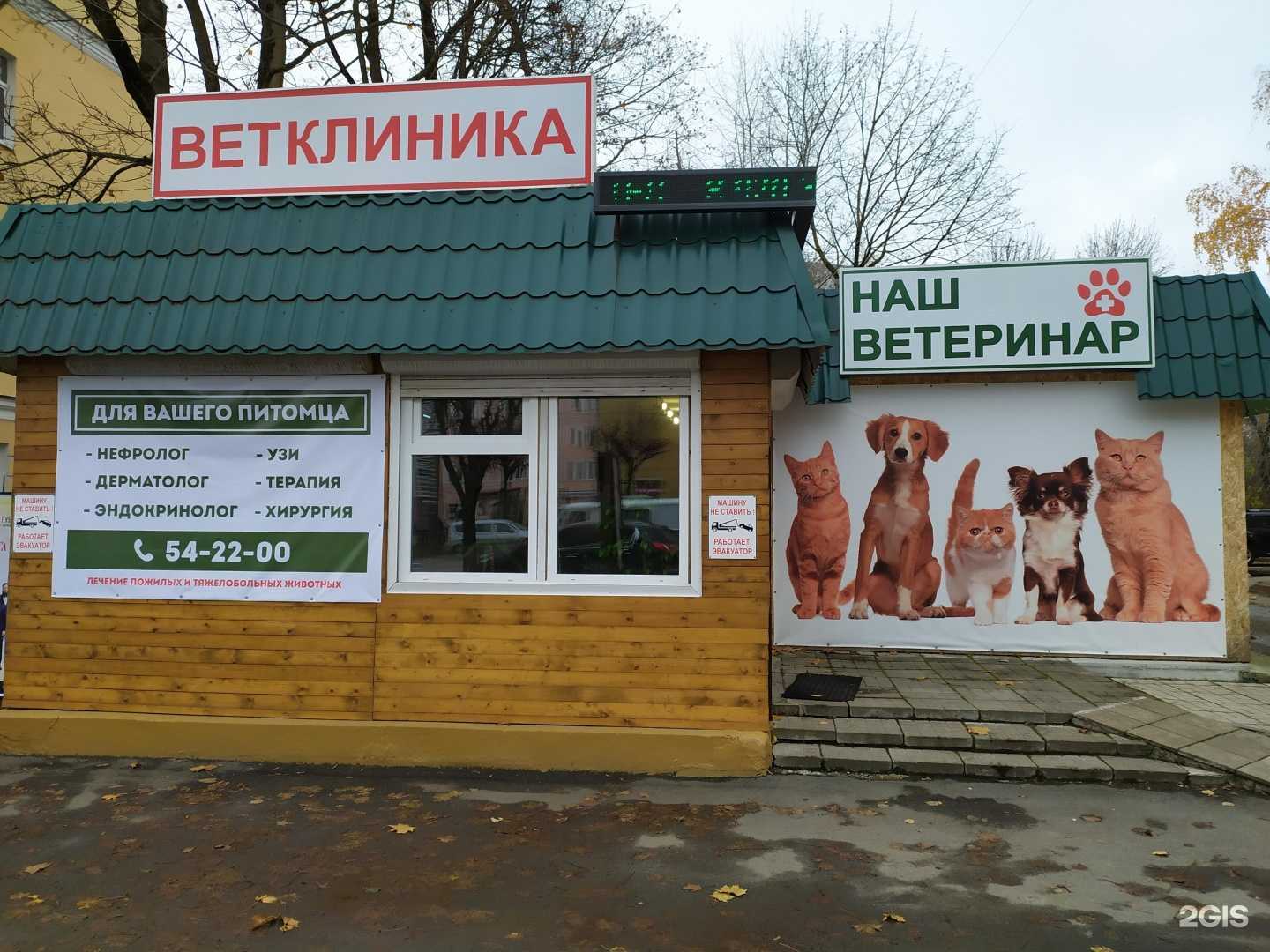 Отзывы на компанию Наш ветеринар в Смоленске c фото