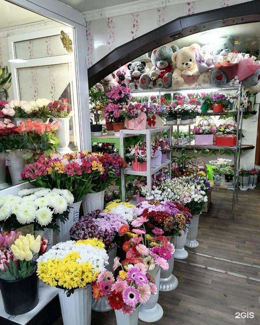 Отзывы на компанию Цветик-семицветик в Астрахани c фото