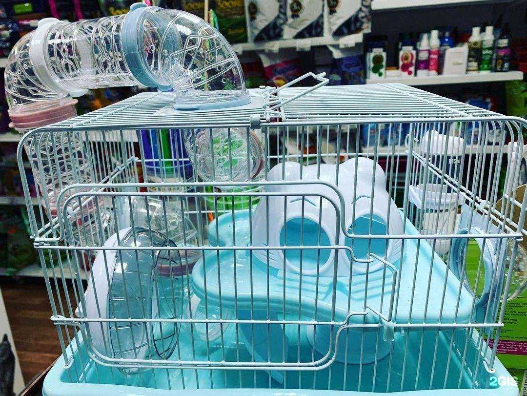 Отзывы на компанию Барсик в Ростове-на-Дону c фото