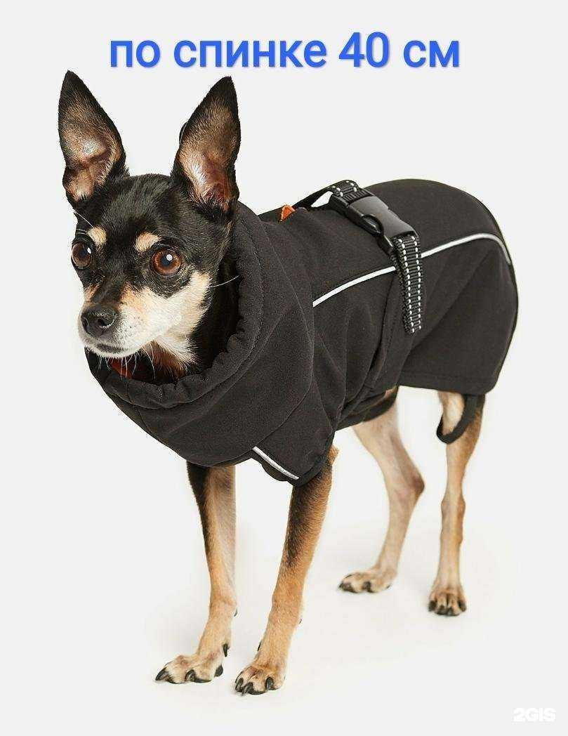 Отзывы на компанию ЗooЛав-ка в г. Омск c фото