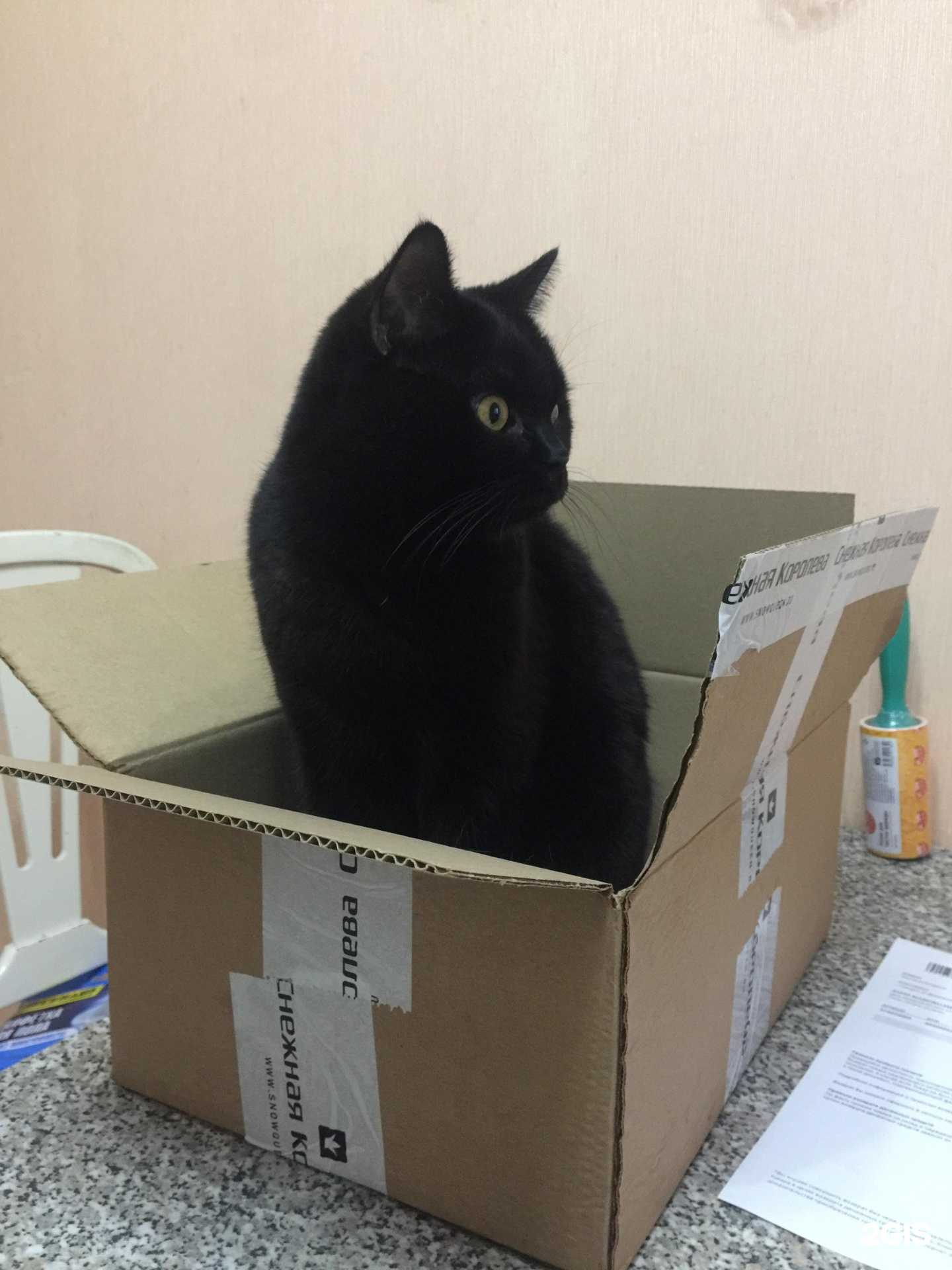 Отзывы на компанию CDEK в г. Самара c фото