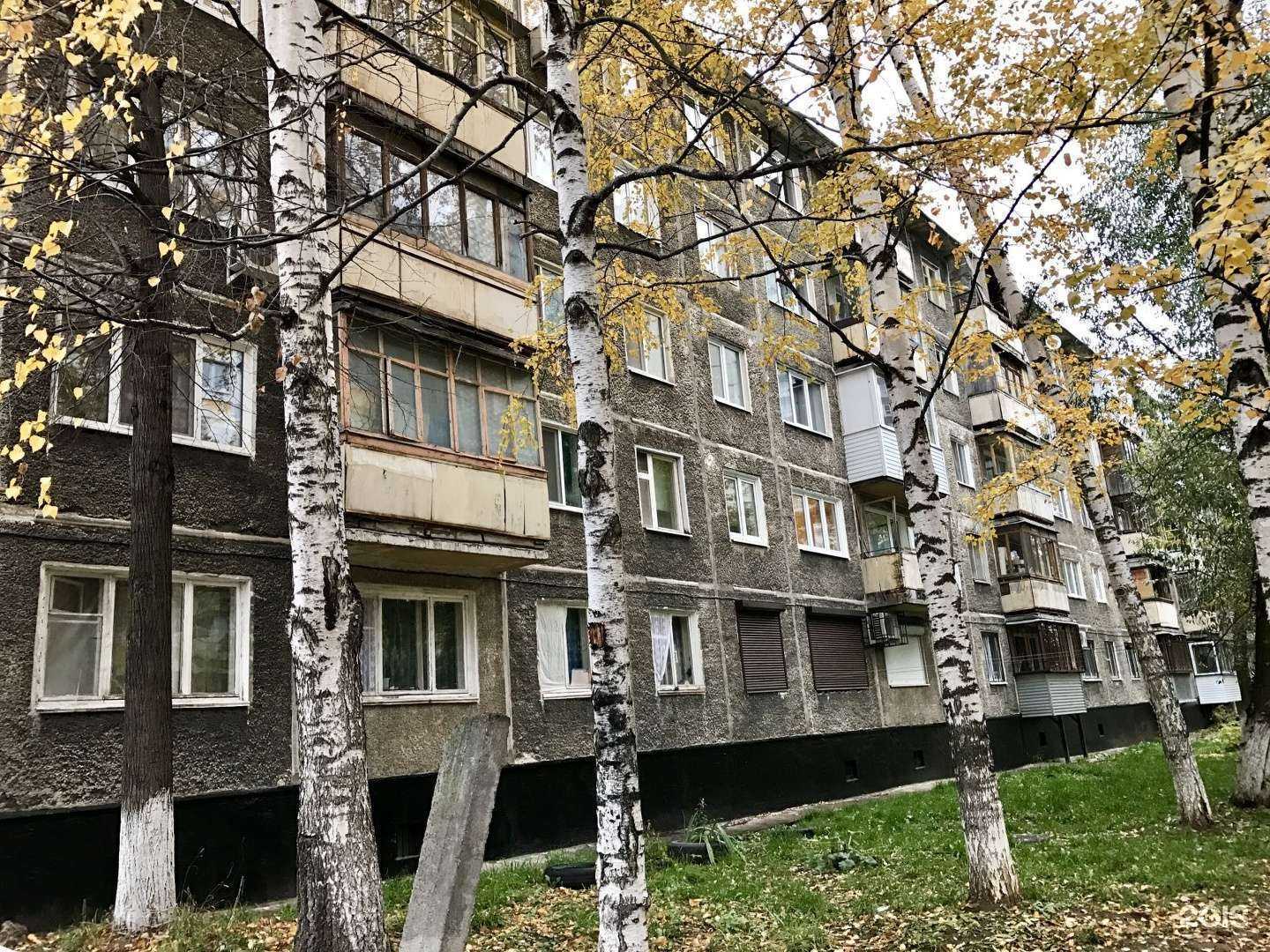 Отзывы на компанию Мой зверь в Перми c фото - фотография 2 из 2