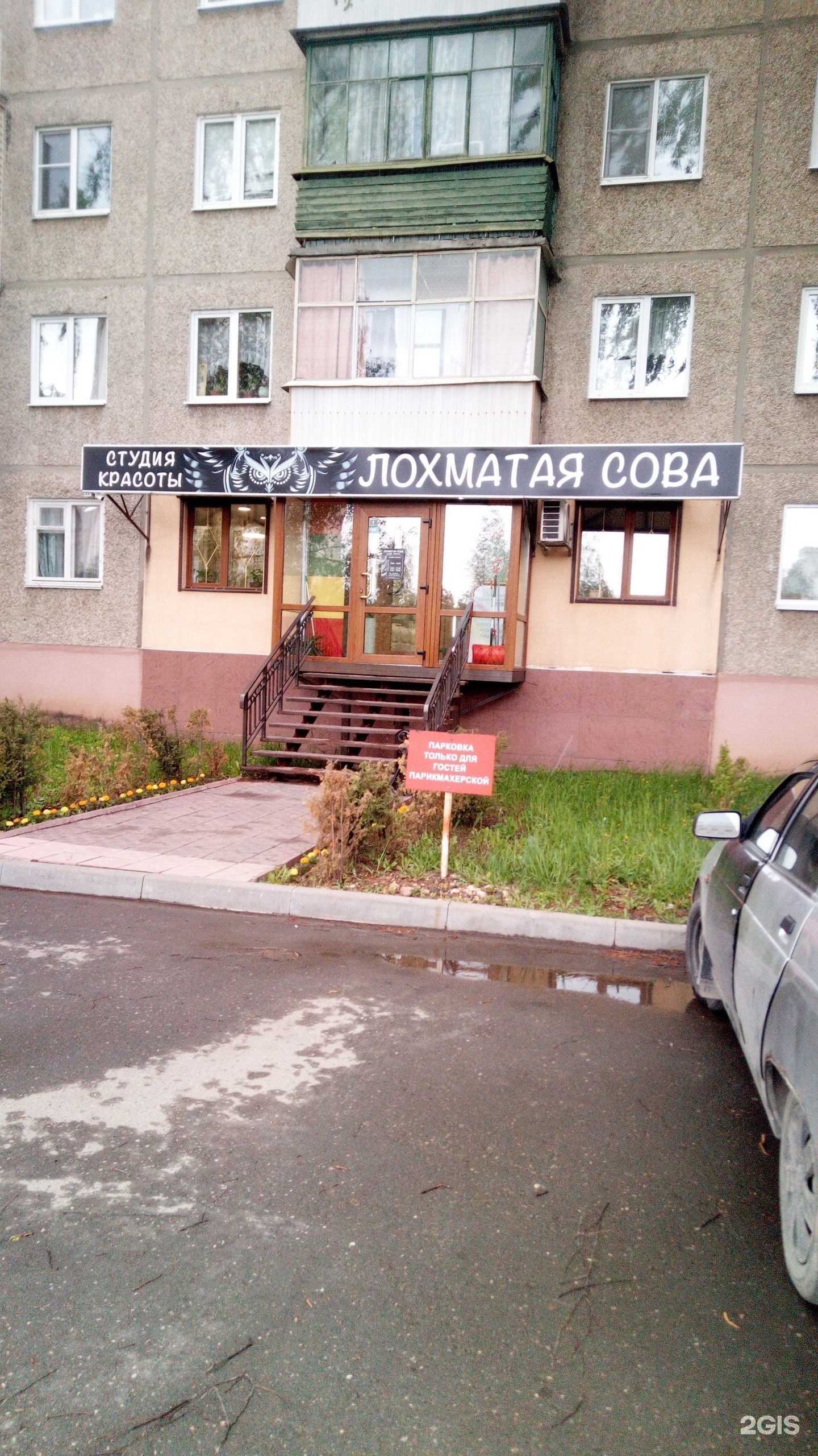 Отзывы на компанию Лохматая сова в г. Владимир c фото