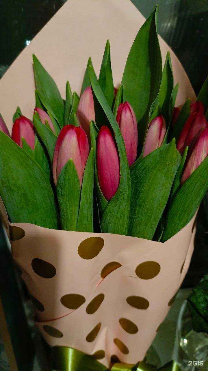 Отзывы на компанию Цветочный эдем  в Сургуте c фото