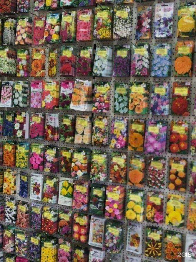 Отзывы на компанию Гавриш39 в Калининграде c фото