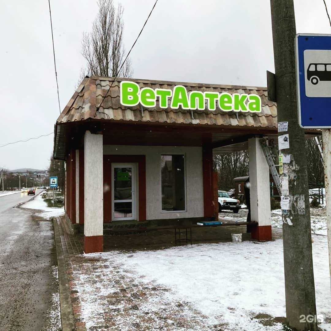 Отзывы на компанию Ломоносов в г. Краснодар c фото