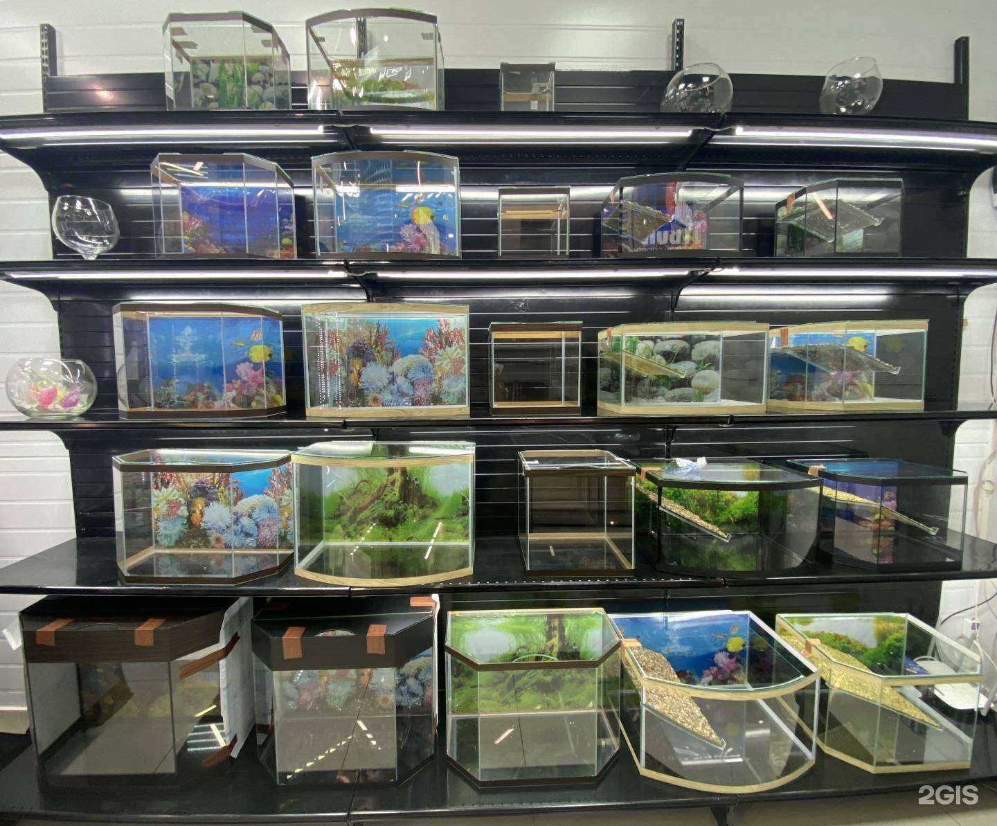 Отзывы на компанию Белый кит в Иркутске c фото