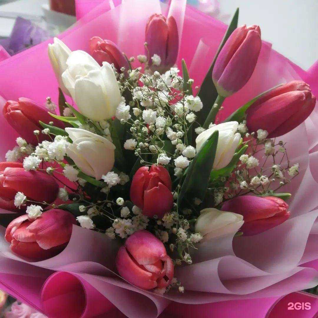 Отзывы на компанию Флора в г. Тольятти c фото