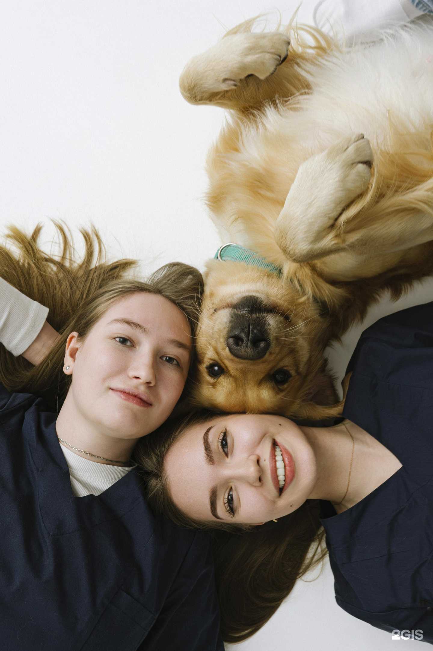 Отзывы на компанию Евровет в Омске c фото