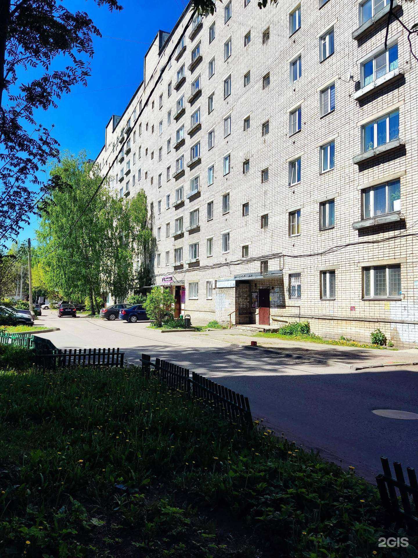 Отзывы на компанию Petshop.ru в Ярославле c фото - фотография 2 из 2