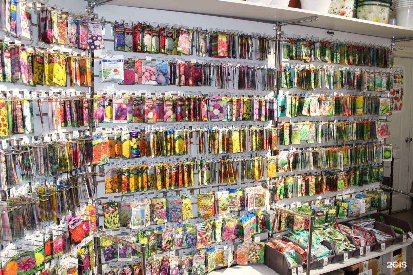 Отзывы на компанию Садовита в Пензе c фото