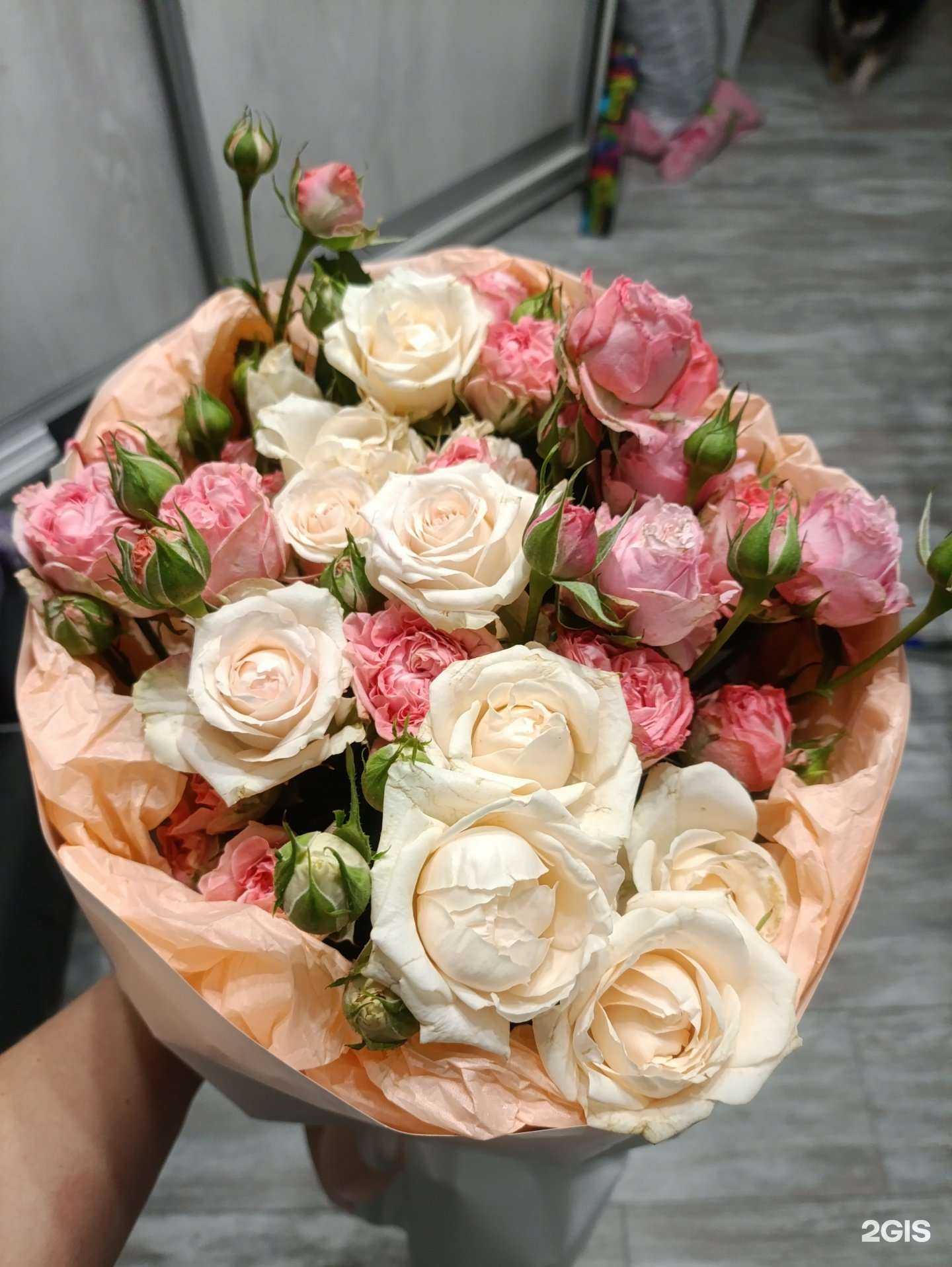 Отзывы на компанию Fortel в Челябинске c фото