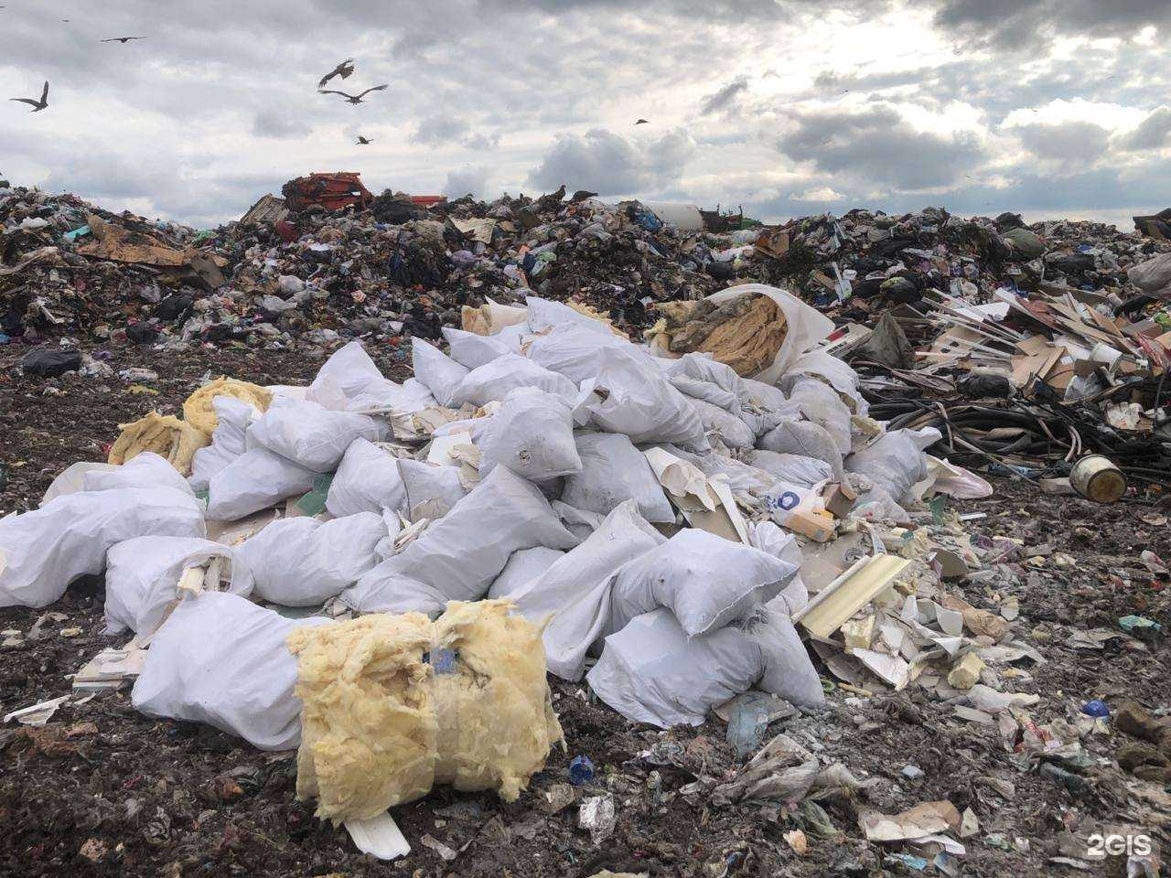 Отзывы на компанию Вывоз мусора 124 в Красноярске c фото