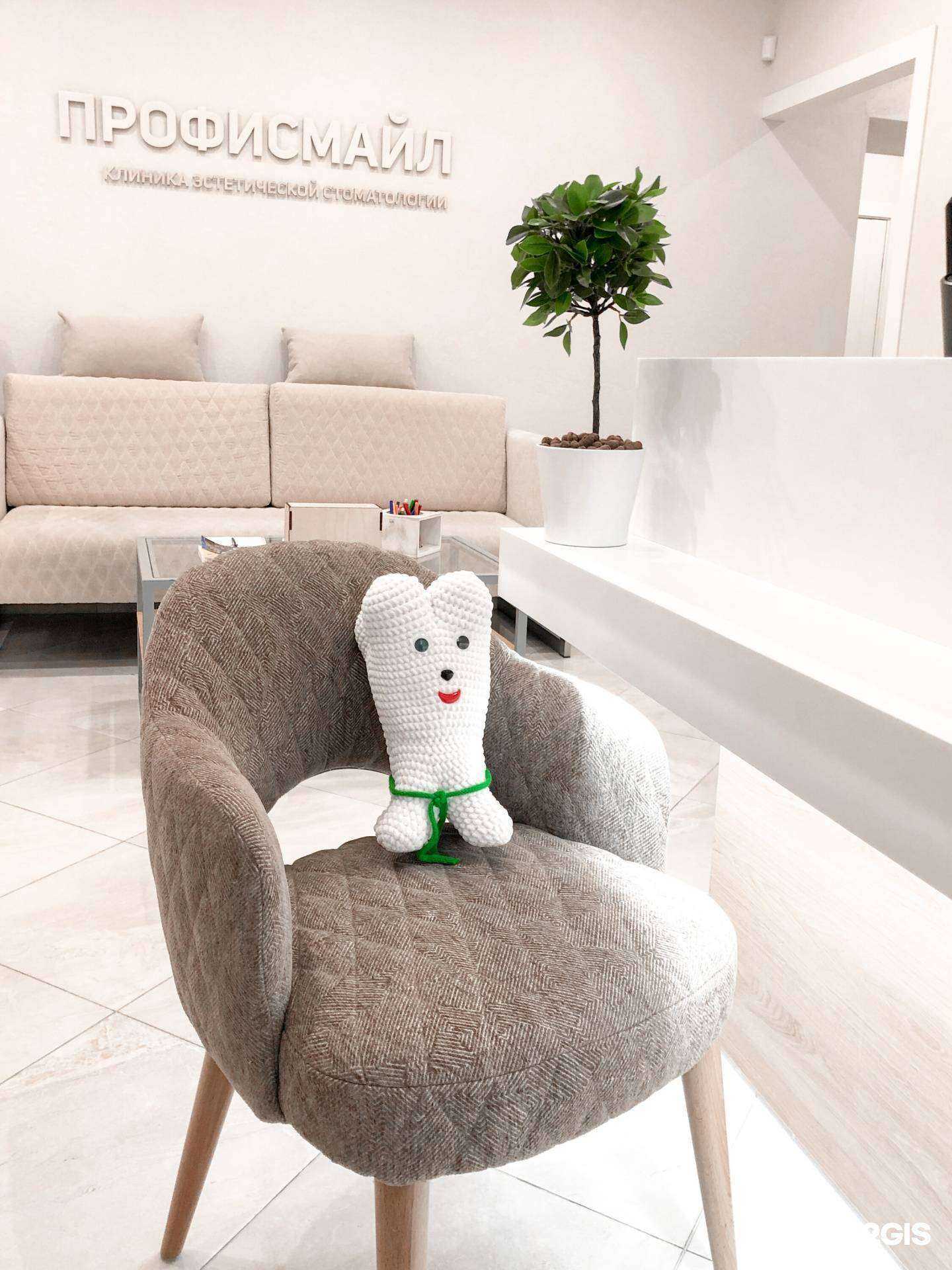 Отзывы на компанию Профисмайл в г. Подольск c фото