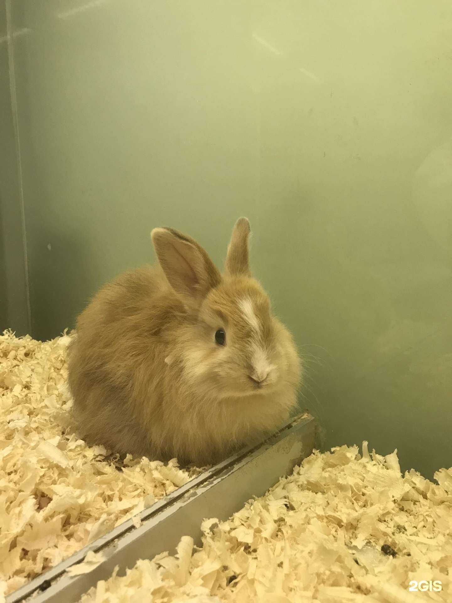 Отзывы на компанию Бонифаций в Перми c фото