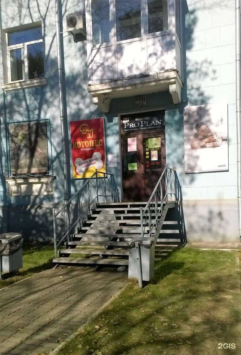 Отзывы на компанию Котопес в Комсомольске-на-Амуре c фото