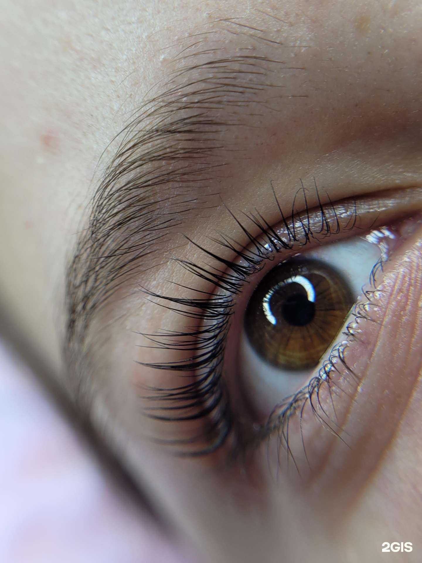 Отзывы на компанию Студия ресниц и оформления бровей в Челябинске c фото