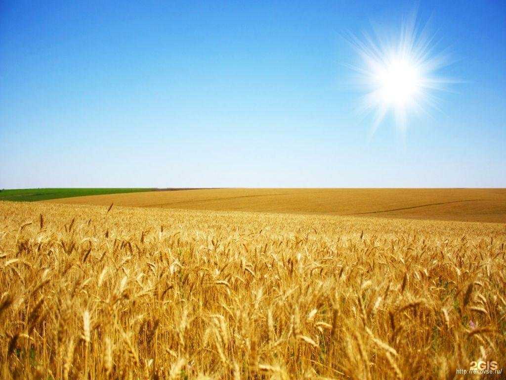 Отзывы на компанию ЭкоВсё в Ростове-на-Дону c фото