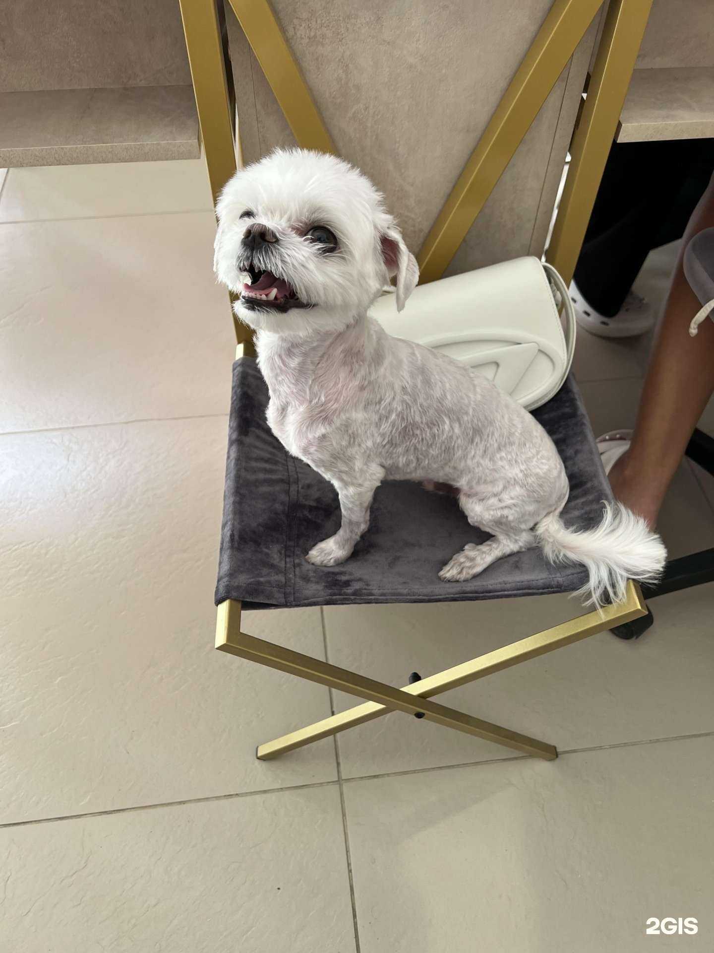 Отзывы на компанию Бьютиroom Yuli в Краснодаре c фото