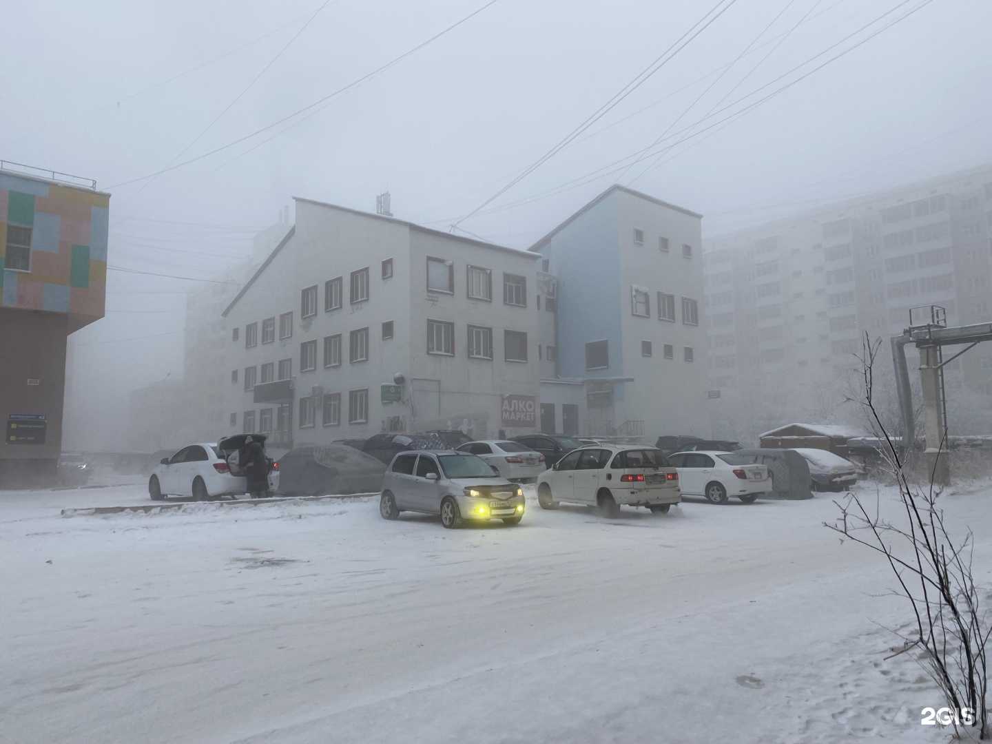 Отзывы на компанию Рыжий Песик в Якутске c фото - фотография 2 из 2