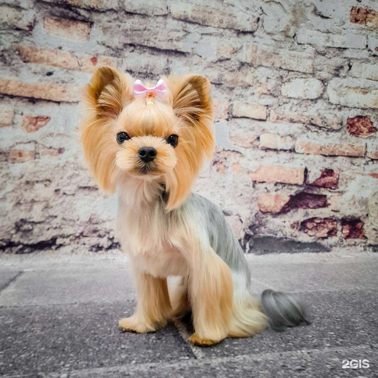 Отзывы на компанию Барселона в г. Магнитогорск c фото