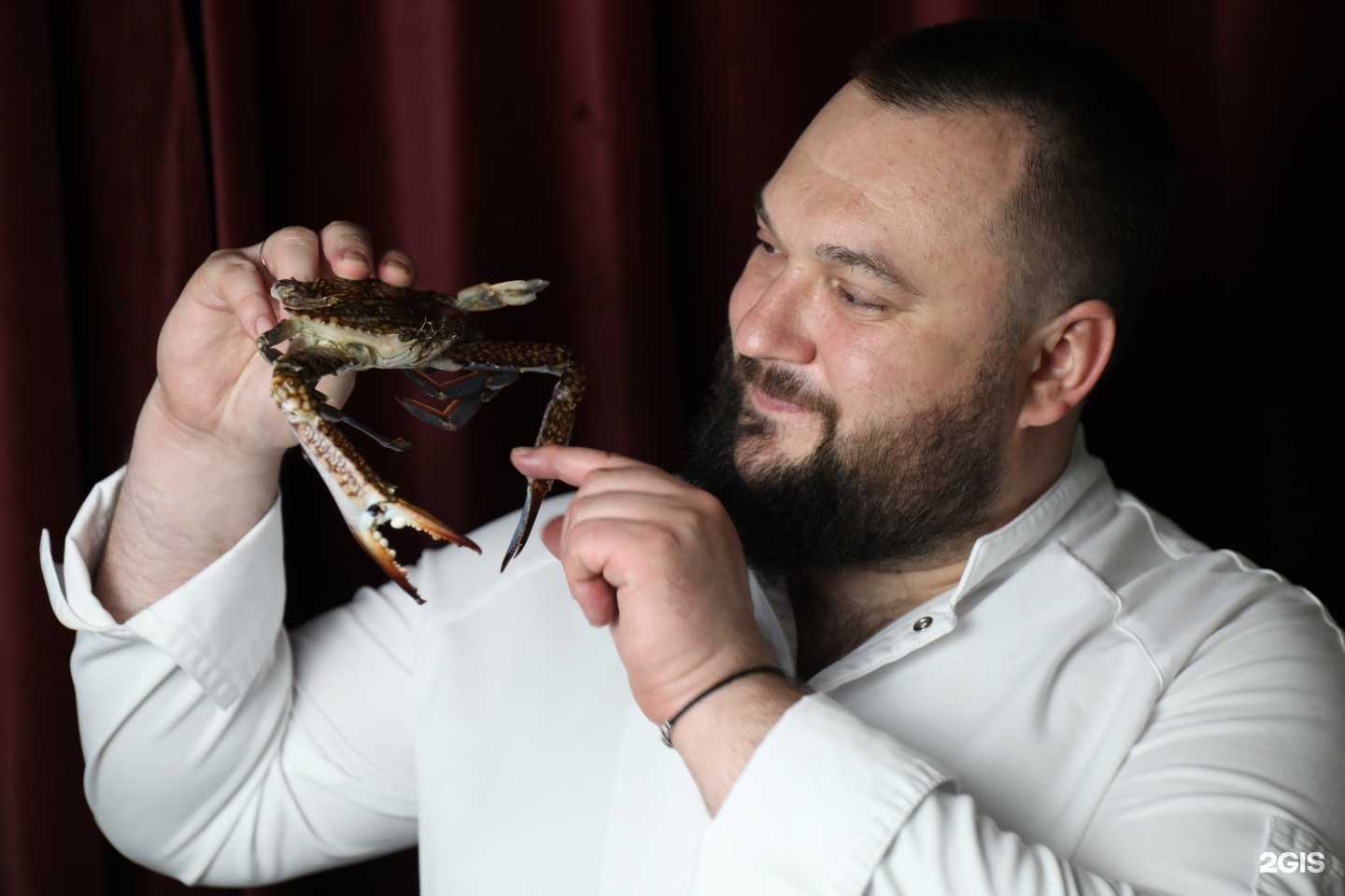 Отзывы на компанию Цукини в Королёве c фото