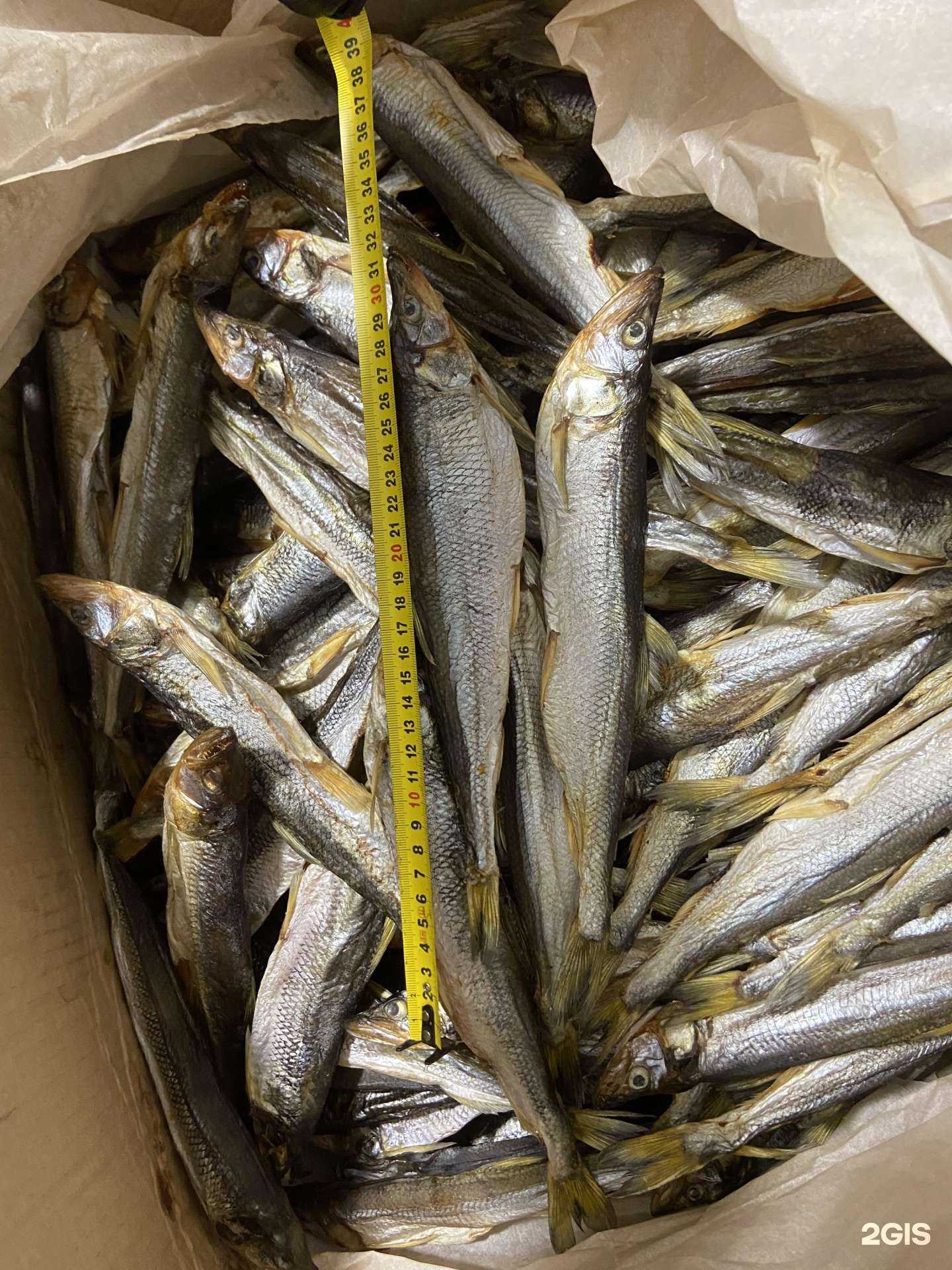 Отзывы на компанию Море в доме в г. Владивосток c фото