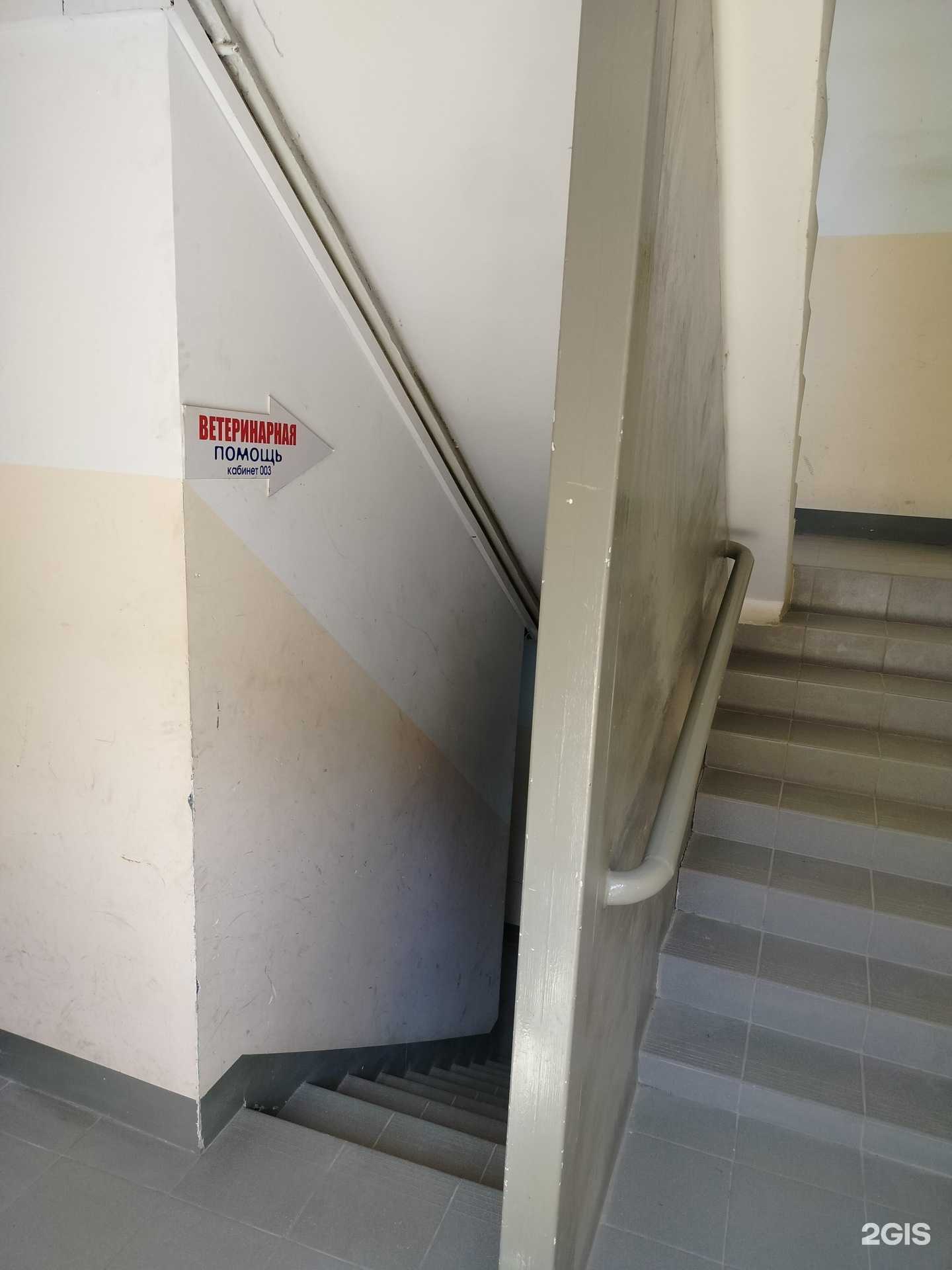 Отзывы на компанию Кабинет ветеринарной помощи в г. Орехово-Зуево c фото