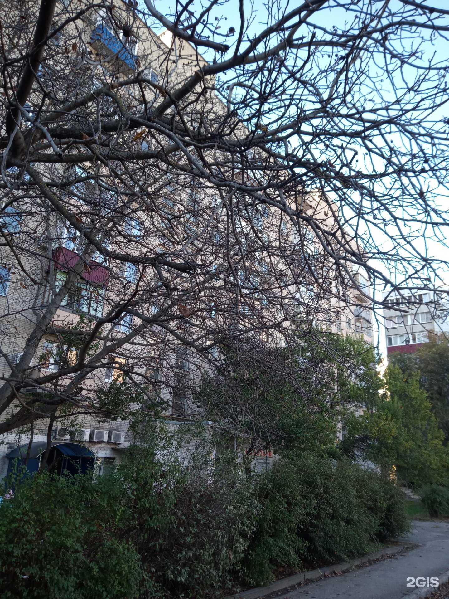 Отзывы на компанию Аквамаг в Ростове-на-Дону c фото - фотография 2 из 2